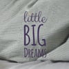 Little Big Dreams
